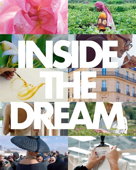 dior insider|dior inside the dream.